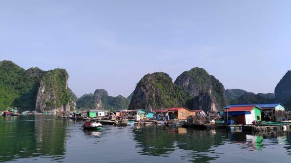 Từ Hà Nội: Chuyến đi trong ngày đến đảo Cát Bà và vịnh Lan Hạ
