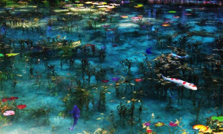 【名古屋出發】美濃古街+莫奈池塘+紅葉地香嵐溪【小團一日遊】