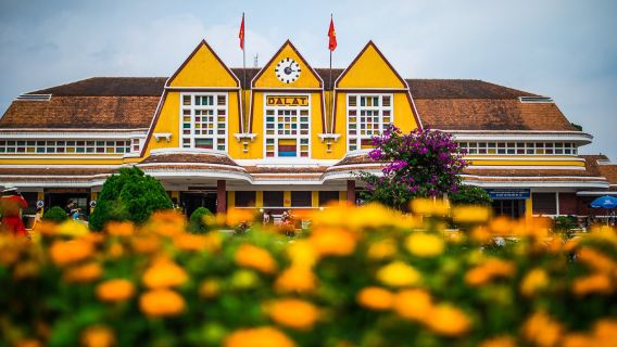 Private Day Tour from Nha Trang to Dalat (English/Korean Guide)