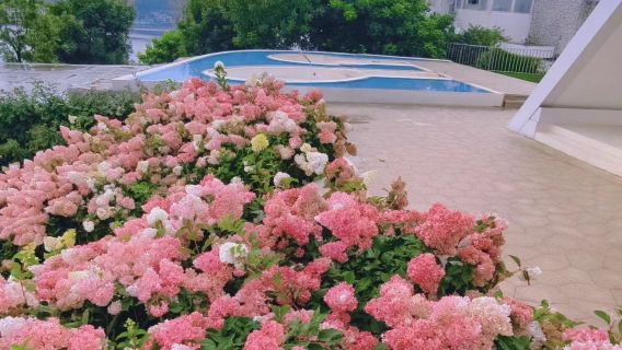 Servizi di guida dal vivo/traduzione commerciale/guida/accompagnatore locale in tutta l'area di Dali, Yunnan! Disponibile in cinese! inglese! russo! francese! e altre lingue. Si prega di consultare prima dell'ordine per abbinamento su richiesta.