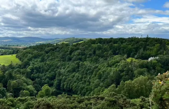 愛丁堡來回：北貝里克小鎮+阿尼克城堡