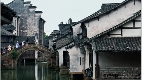 Wuzhen West Scenic Zone Admission Ticket with 2-Hour Private Tour and Live Guide Experience