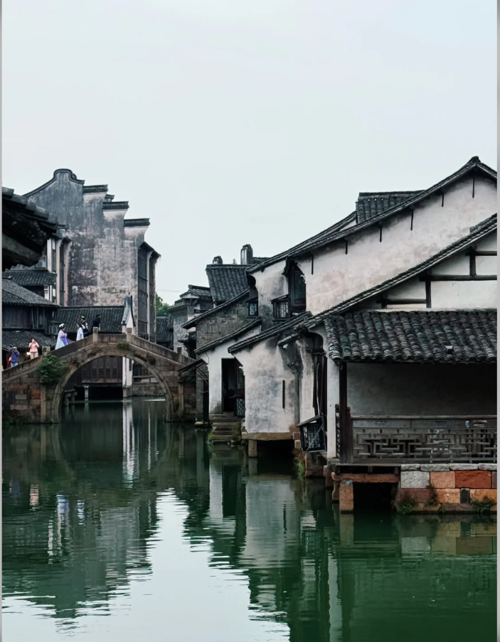 Wuzhen West Scenic Zone Admission Ticket with 2-Hour Private Tour and Live Guide Experience