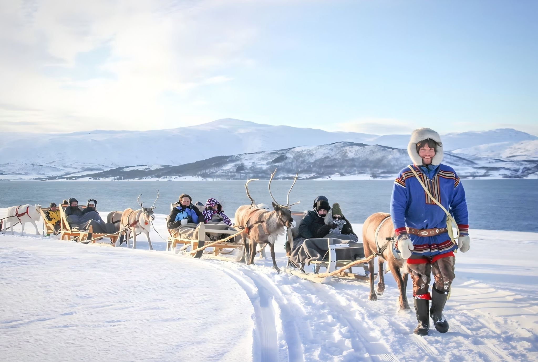 Tromso|ARC Reindeer Farm: Reindeer Sledding + Feeding Reindeer + Sami Cultural Experience