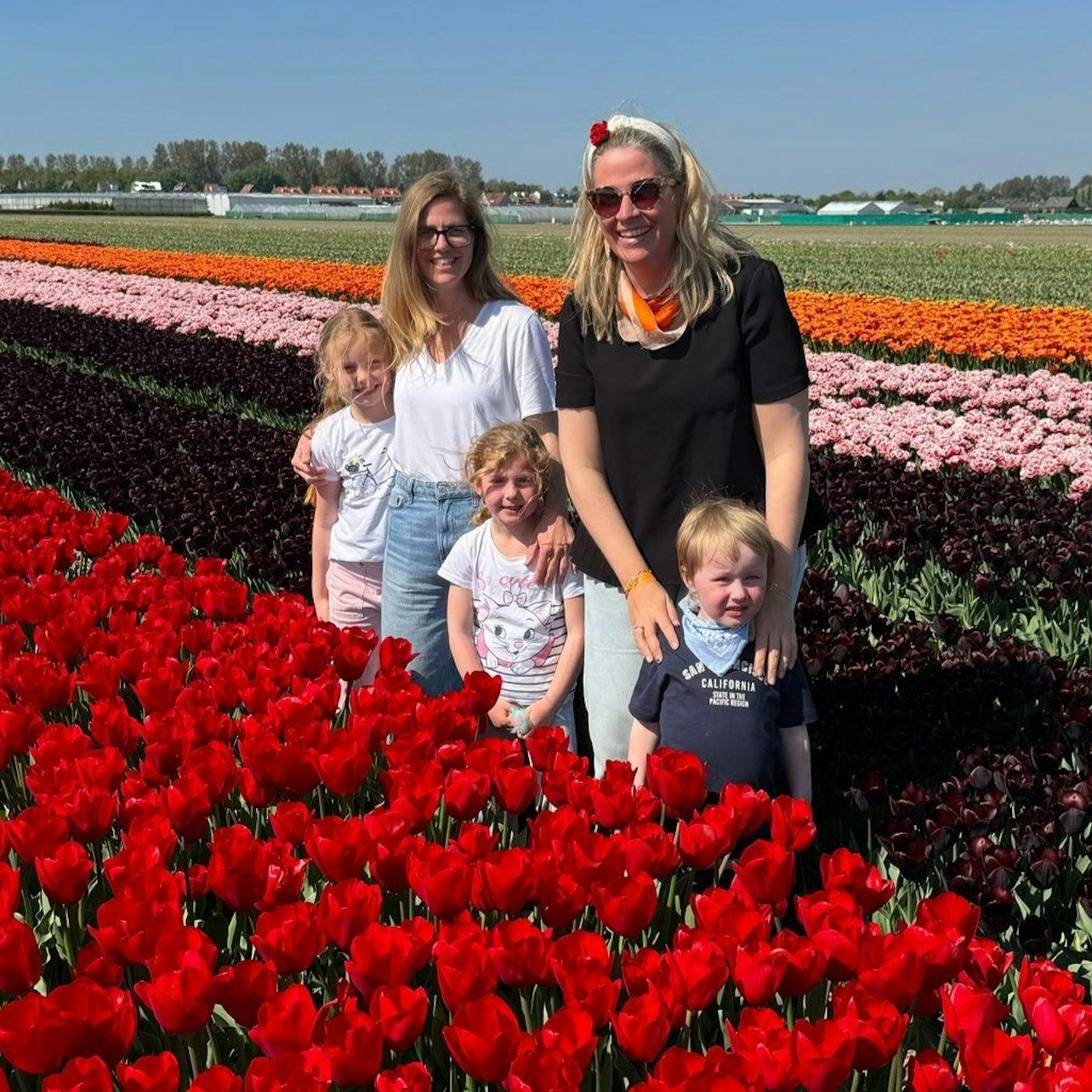 Lisse: tour privato in bicicletta tra i campi di tulipani + bevande