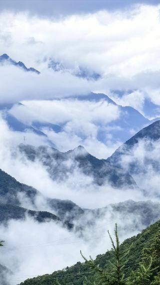 1-day private charter tour to Guanmenshan Scenic Area, Tiansheng Bridge, and Shennong Altar in Shennongjia, Hubei with bilingual Chinese-English service