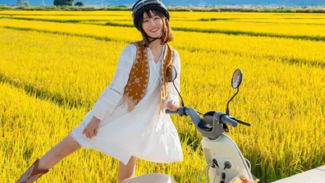 蒼山+感通索道+喜洲+洱海遊船+南詔風情島一日遊【上門接駁】