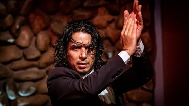 Malaga: Buổi trình diễn Flamenco đích thực tại El Gallo Ronco