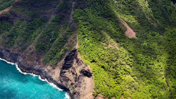 美國考愛島威美亞山谷+科基州立公園+卡勞拉瞭望台專車一日遊