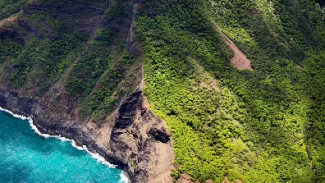 Lawatan Sehari dengan Kenderaan Khas ke Lembah Waimea + Taman Negeri Kokee + Menara Pemerhati Kalalau di Pulau Kauai, Amerika Syarikat