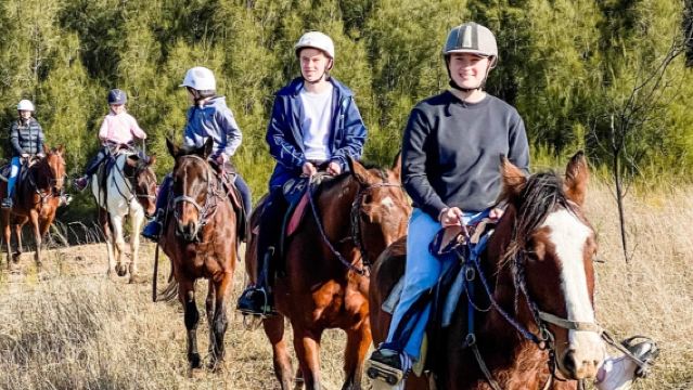 Hunter Region 1hr Bush Horse Riding Tutorial Experience | Private Vineyard Horse Riding Lesson | Winery Private Group Wine Tasting Experience | Departing from Sydney/Hunter Region/Newcastle