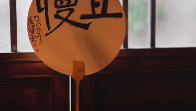 Esperienza di raccolta del tè Longjing al villaggio Shifeng di Hangzhou + degustazione privata con il maestro del tè del museo