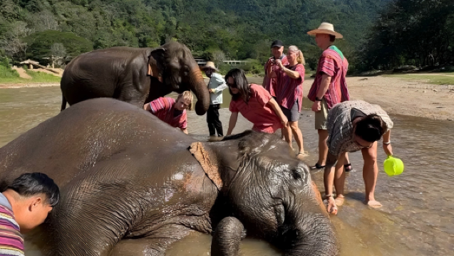 Lawatan Sehari Kem Gajah Rahsia Chiang Mai, Thailand: Bersama Gajah · Rafting Buluh · Air Terjun Sticky