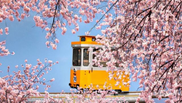 釜山の海岸の魅力と文化：甘川洞文化村＆オプションでスカイカプセル
