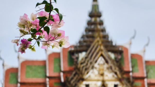 泰國北欖府翻譯｜專注中泰/中英互譯｜商務翻譯、展會翻譯、市場陪同、旅遊地陪、出行導覽全承接，一站式服務