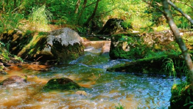【獨立包車】伊春五營國家森林公園+湯旺河林海奇石景一日遊
