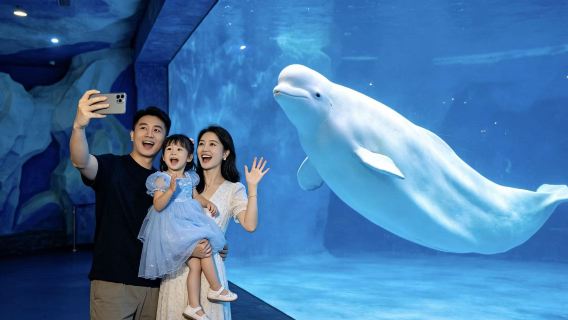 珠海旅拍【跟拍攝影親子照情侶閨蜜兒童跟拍家庭旅拍】