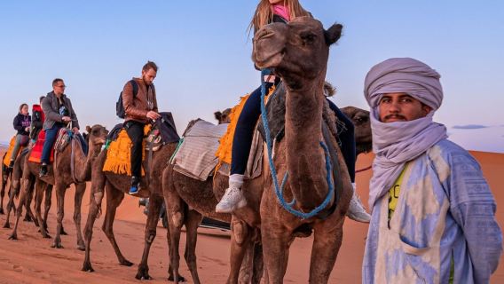 Ökenkamelritt i Hurghada med middag, föreställning och stjärnskådning