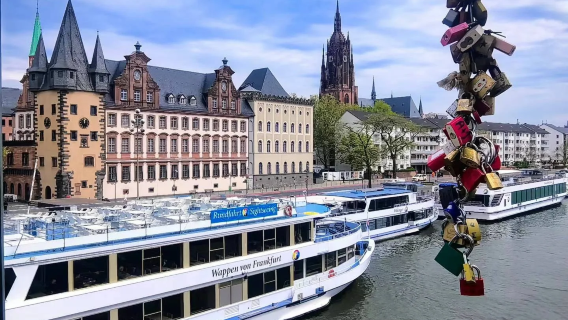 Frankfurt pergi-balik, Katedral Bonn + Rumah Beethoven lawatan sewa peribadi (jadual boleh disesuaikan)