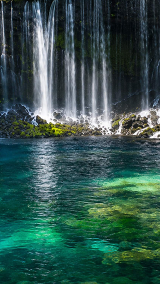 Private chartered 1-day tour in Tokyo and Karuizawa to Stone Church + Shiraito Waterfall + Kumoba Pond. Customizable itinerary.