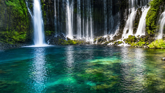 Eendaagse privétour met gecharterde auto in Tokyo en Karuizawa, Japan - Steenkerk, Shiraito-waterval en Kumoba-ike - Aanpasbare route