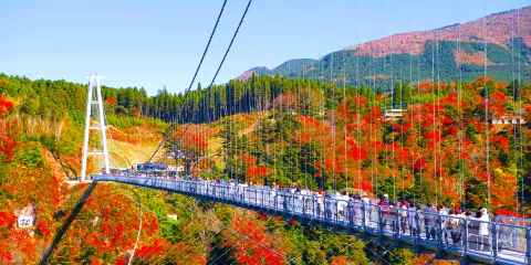 福岡出發/九州秋季:青之洞門+一目八景+九重夢吊橋+宇佐神宮