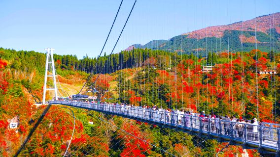 Fukuoka'dan Başlayan/Kyushu Sonbaharı: Ao no Domon + Hitome Hakkei + Kokonoe Yume Asma Köprüsü + Usa Tapınağı