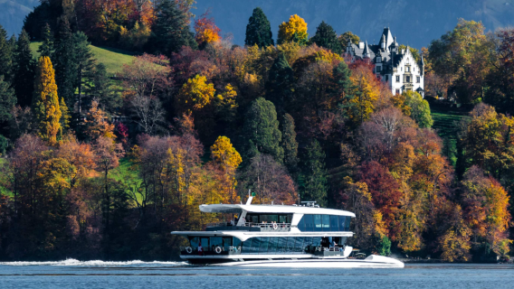 Passagem para cruzeiro compartilhado de catamarã de 60 minutos no Lago de Lucerna
