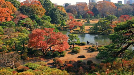 Lawatan sehari mendalam ke taman warisan budaya Edo Tokyo: Kuil Asakusa - Taman Rikugi - Kuil Nezu