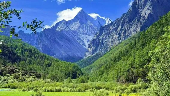 Wudi Lake + Daocheng Yading dedicated shuttle bus shared transfer (Shangri-La round-trip)