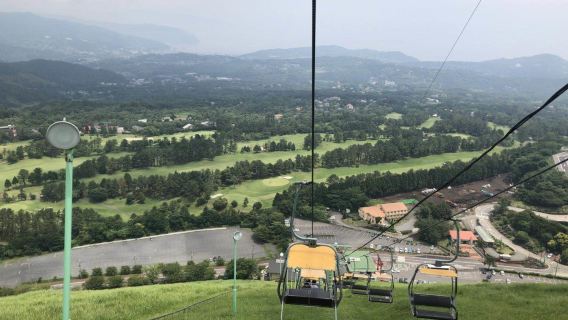 Pergi-balik Tokyo Jepun ke Semenanjung Izu + Taman Kaktus + Pantai Kii [Sewaan peribadi dalam bahasa Cina dengan pengangkutan dari rumah]