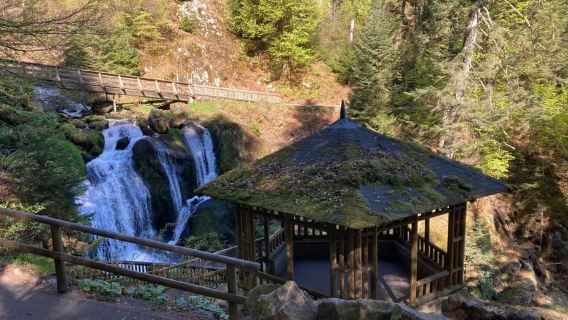From Strasbourg: Black Forest Day Trip to Freiburg, Titisee, Triberg