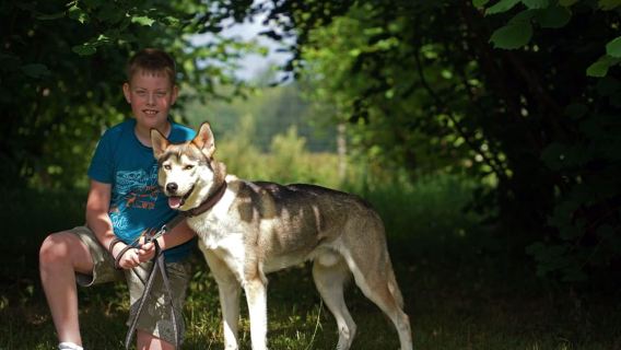 SLED DOG KENNEL VISIT TARTU COUNTRY ESTONIA