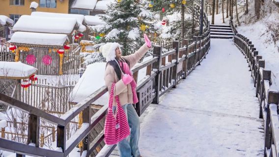 プライベートツアー【雪郷ワンデーツアー】スキー込み夜景ツアー、多彩なセットメニュー【お選びいただけます】
