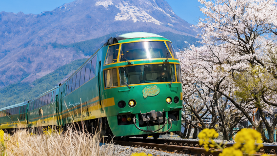 Συνοδός 2 ωρών στην Yufuin της Fukuoka | Από το δάσος του παραμυθιού στη λίμνη Kinrinko, γεμίζουμε το feed σας με φωτογραφίες