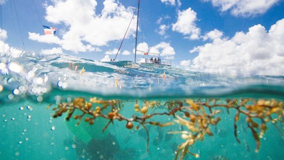 Punta CanaExperiences