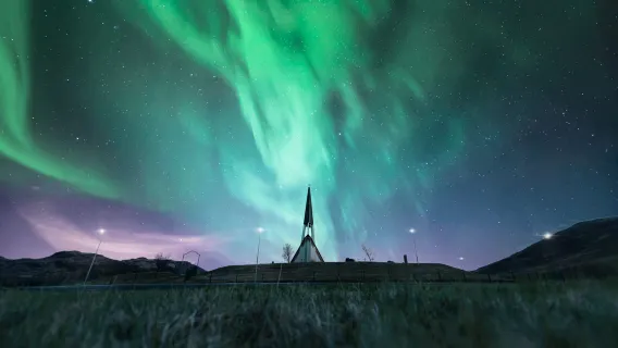 Caccia all'aurora boreale a Reykjavik, Islanda [Tour notturno in piccoli gruppi esclusivi/trasferimento dall'hotel/deliziosa cioccolata calda inclusa]