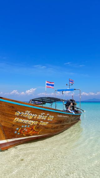 From Phi Phi: Private 6-Hour Longtail Boat Tour to Maya Bay with Snorkel