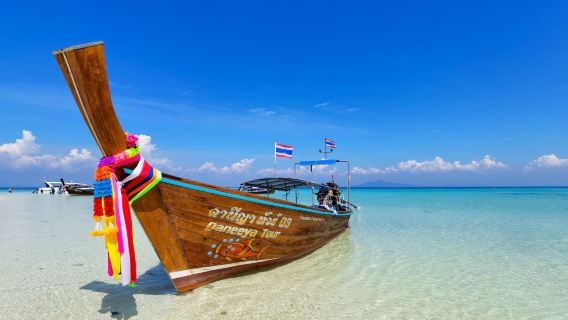 From Phi Phi: Private 6-Hour Longtail Boat Tour to Maya Bay with Snorkel
