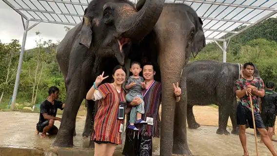 ทัวร์วันเดียว/ทัวร์หลายวัน สู่ปางช้างไนดี จังหวัดภูเก็ต ประเทศไทย