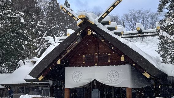 日本札幌往返大雪山國家公園-可小樽登別富良野北海道包車-精選