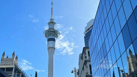 ทัวร์วันเดียว/ทัวร์หลายวัน สะพานฮาร์เบอร์โอ๊คแลนด์ + อ่าวฮาอูรากิ + หอศิลป์โอ๊คแลนด์ พร้อมบริการภาษาจีนและภาษาอังกฤษ