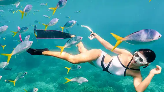 富國島包船出海一日遊【客製行程/浮潛/海釣/午餐/飯店接送】
