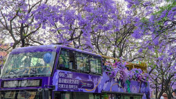 Kunming Airport Transfer with City Sightseeing Tour