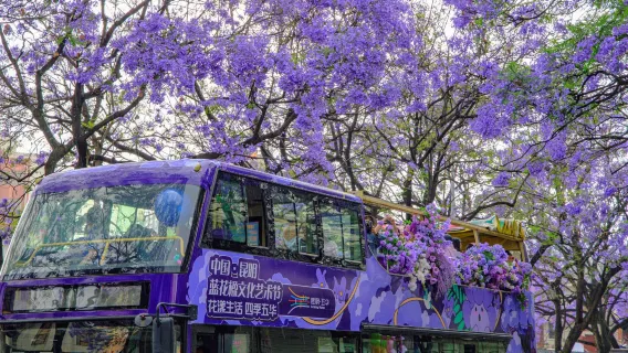 Kunming Flughafentransfer mit Stadtrundfahrt