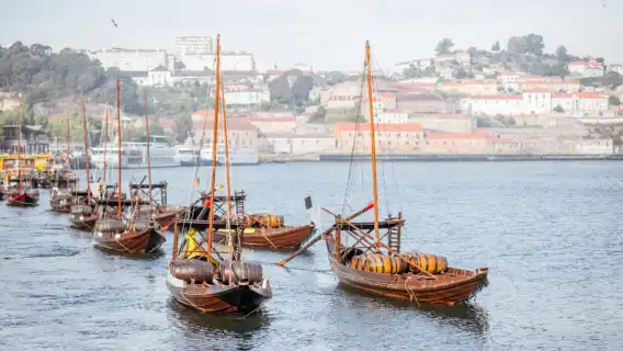 Tour of the two banks of the Douro river in Porto