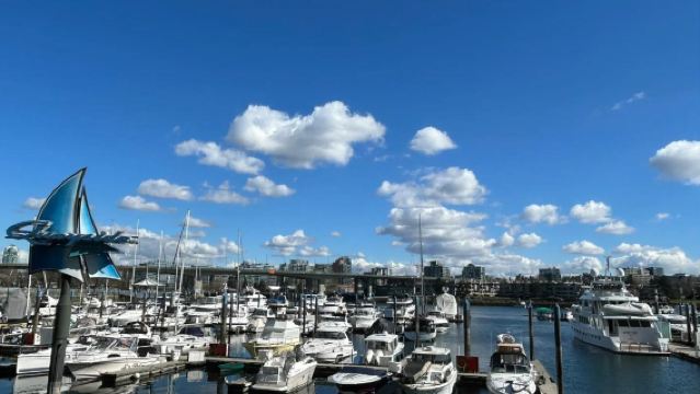 Lawatan sehari Vancouver + Jambatan Gantung Capilano + Taman Ratu Elizabeth + Gastown / boleh disesuaikan