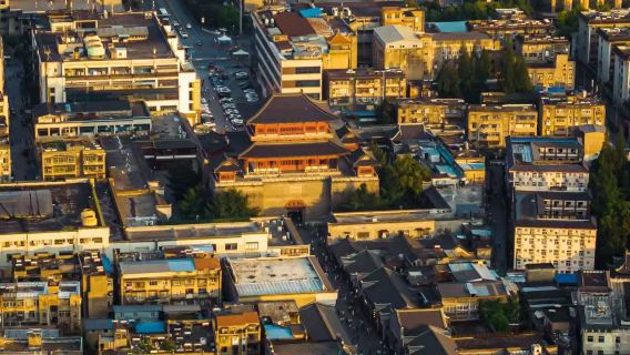 Professional guides in Chinese, English, and other languages for the entire Wuhan area in Hubei, China| Local guide |Exhibition Translation|On-site accompaniment and guide services