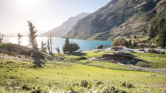 Walter Peak Plateau Farm Tour | English Tour with Refreshments and Farm activity| Queenstown