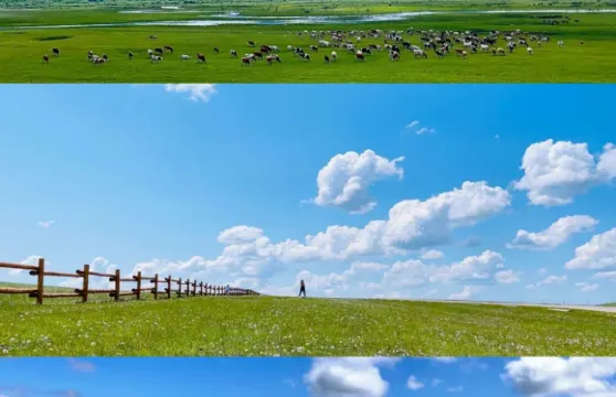 【此生必打卡】內蒙古呼和浩特+希拉穆仁草原+沙漠童話